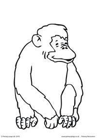 Chimpanzee colouring page 3