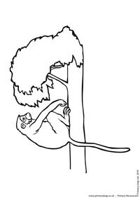 Chimpanzee colouring page 6