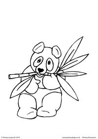 Panda colouring page