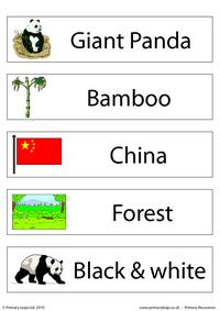 Giant panda flashcard - set of 5