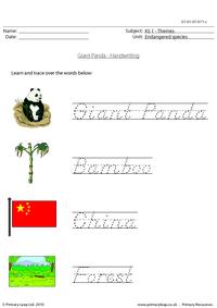 Giant panda handwriting
