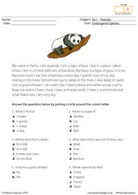 Giant panda comprehension