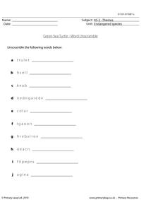 Green sea turtle word unscramble
