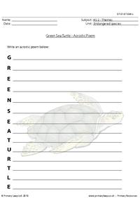 Green sea turtle acrostic poem
