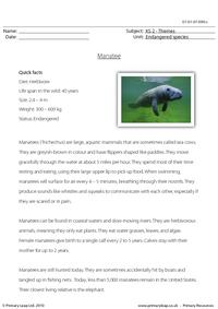 Manatee comprehension