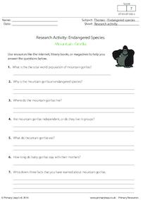 Research Activity - Mountain Gorillas