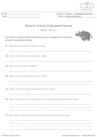 Research Activity - Black Rhino