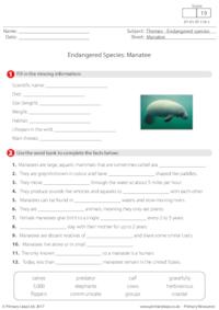 Endangered Species - Manatee