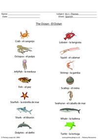 Sea animals