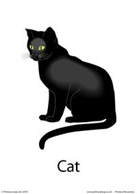 Halloween flashcard - cat